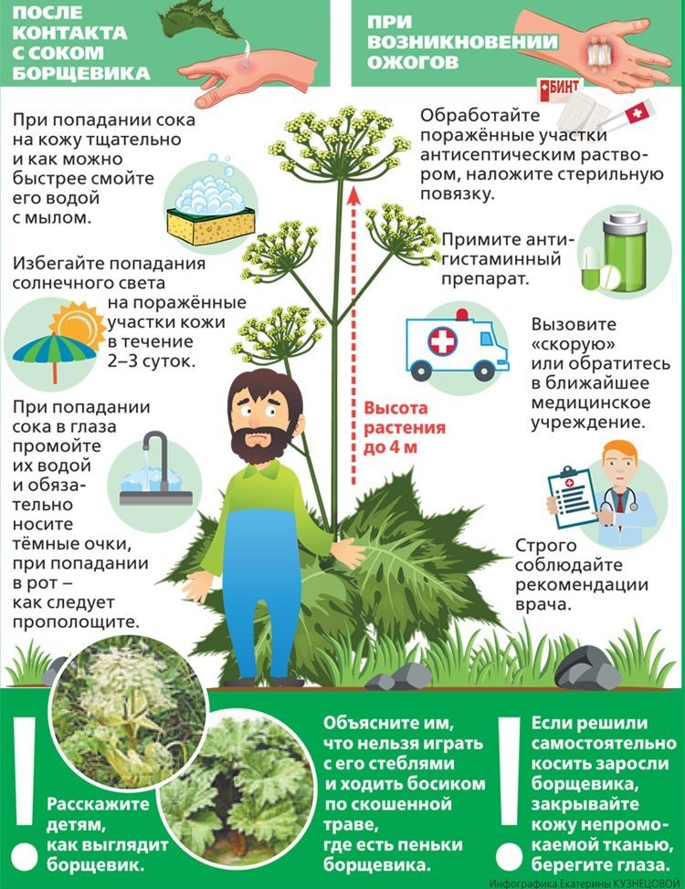 Контрольная работа: Сельское хозяйство Московской области